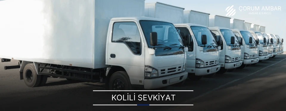Çorum Kolili Sevkiyat Ambar Firmaları