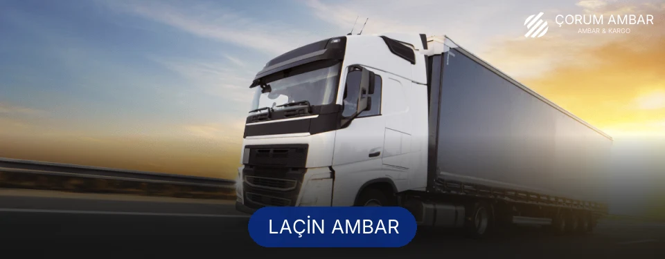 Laçin Ambar