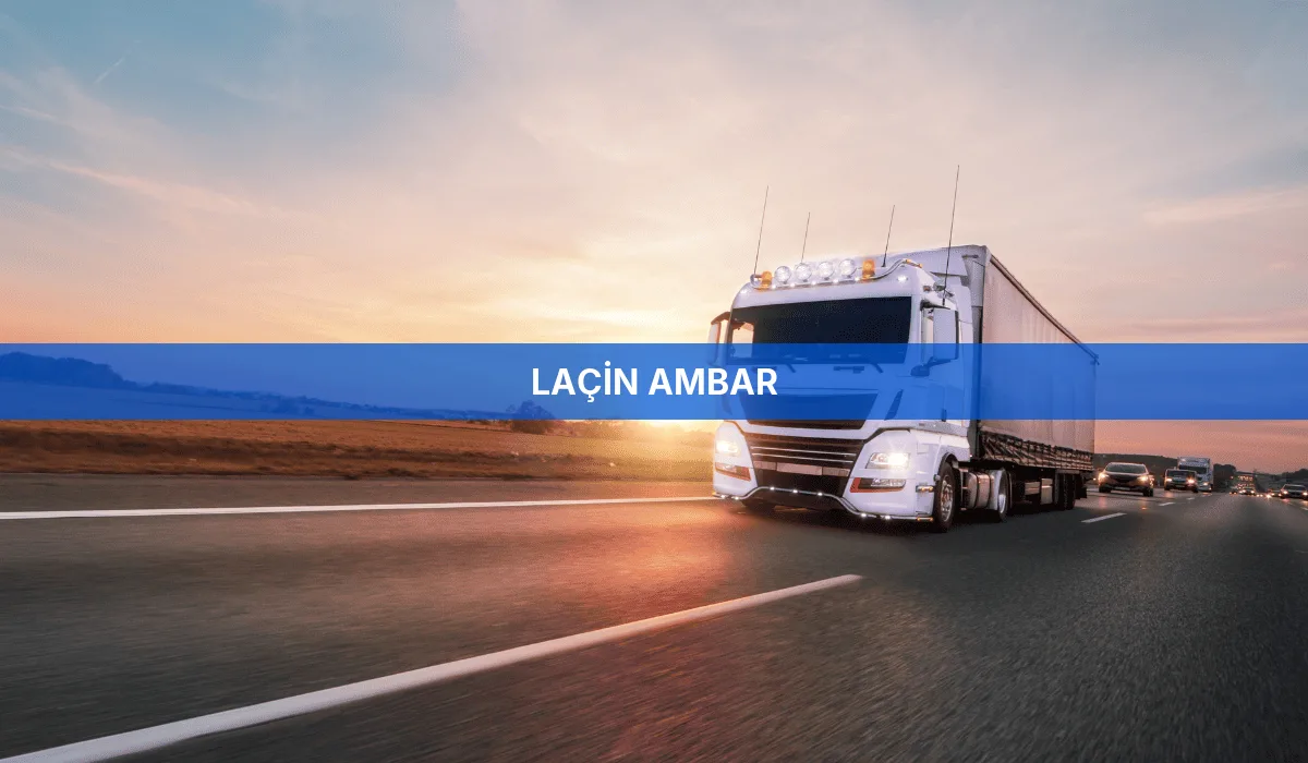 Laçin Ambar
